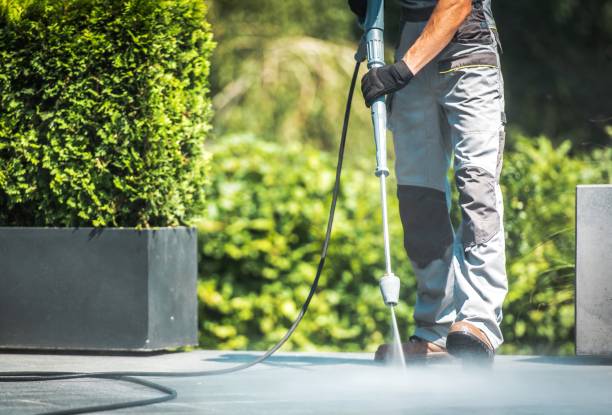 Best Boat and Dock Cleaning  in Thornton, IL