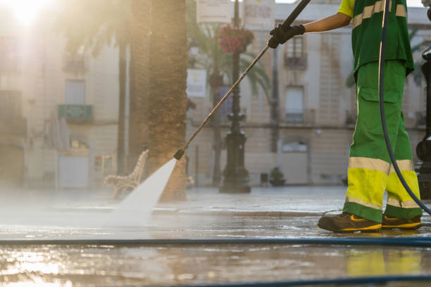 Best Sidewalk and Walkway Cleaning  in Thornton, IL